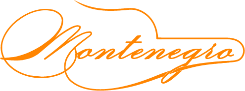 Logo Montenegro de la fundación América India